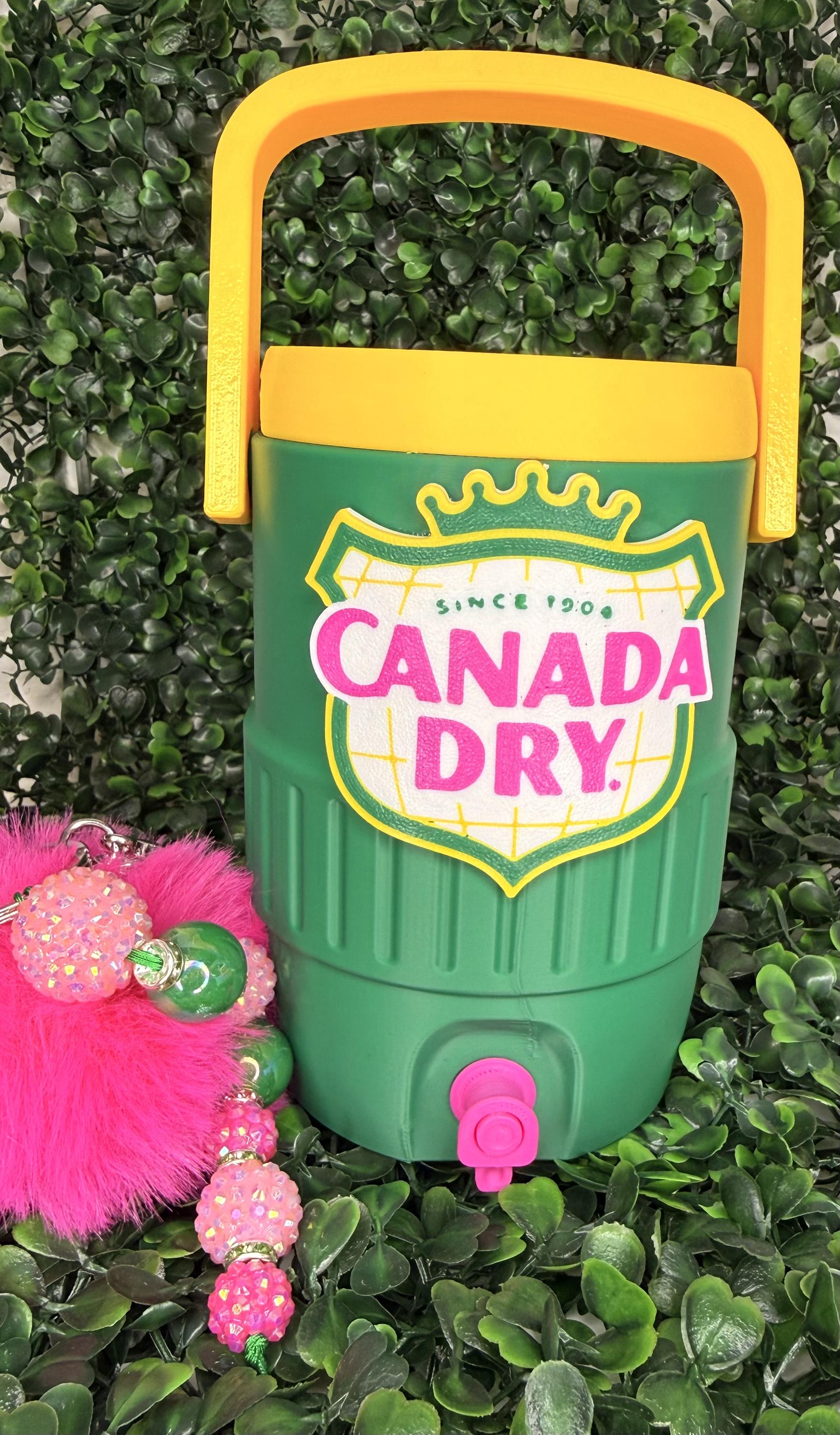 Ginger Ale Inspired Can cooler