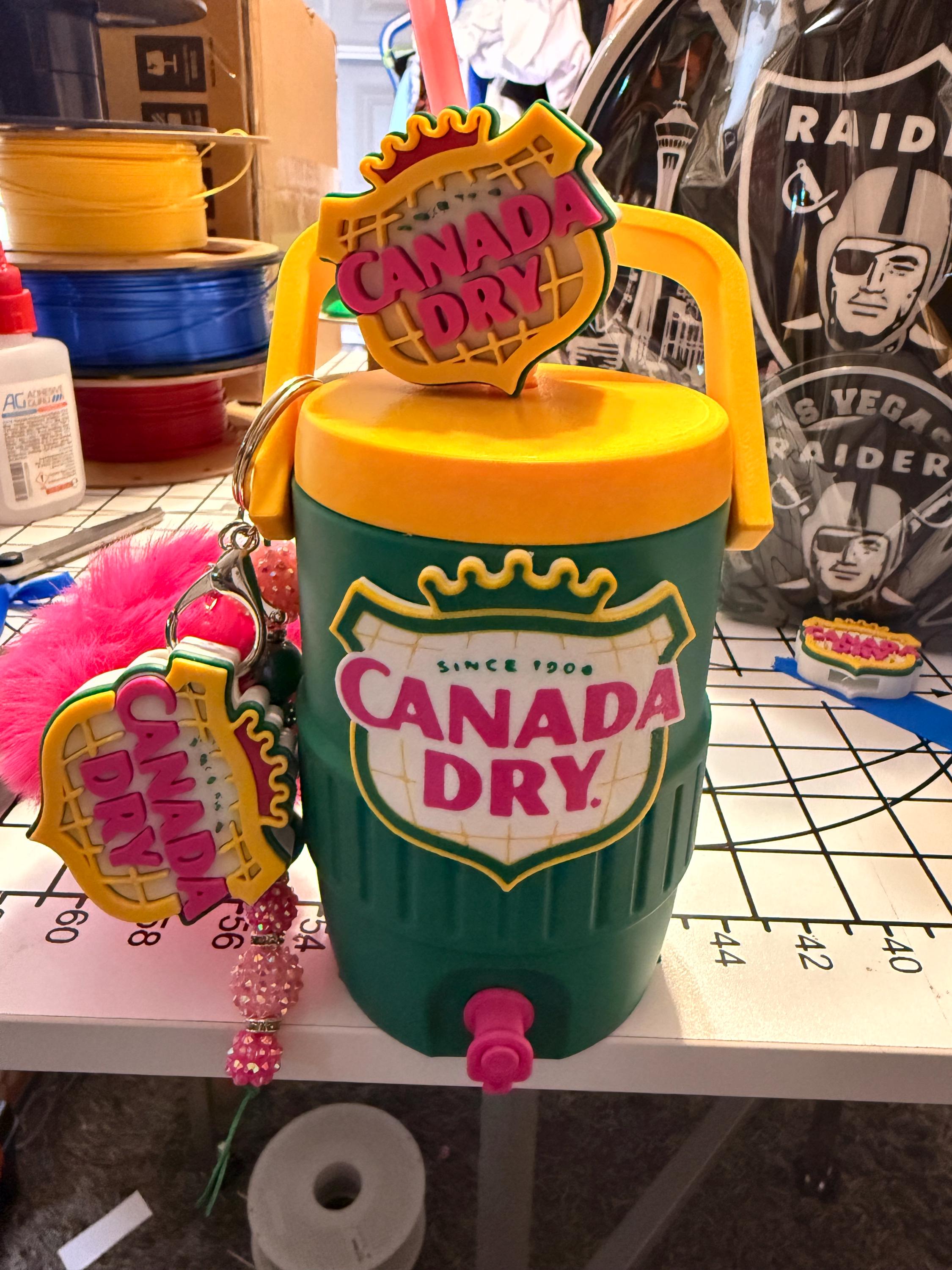 Ginger Ale Inspired Can cooler